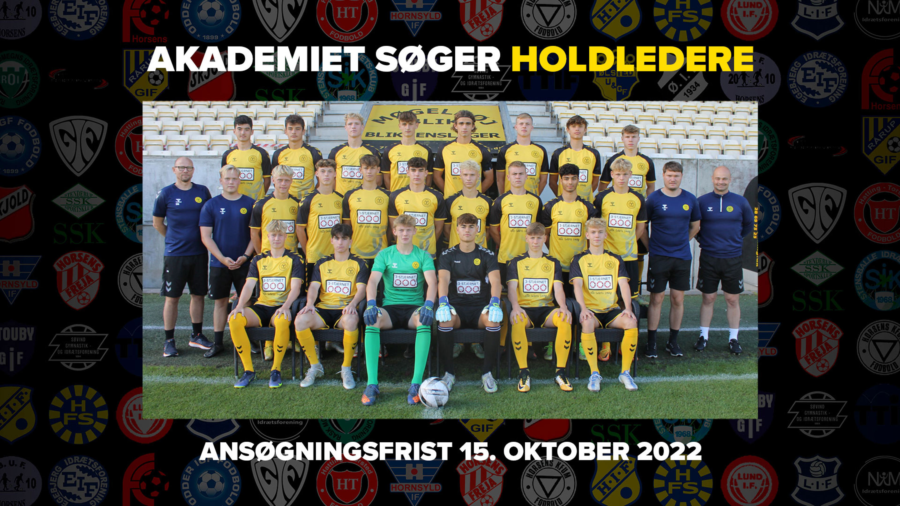 Akademiet søger holdledere