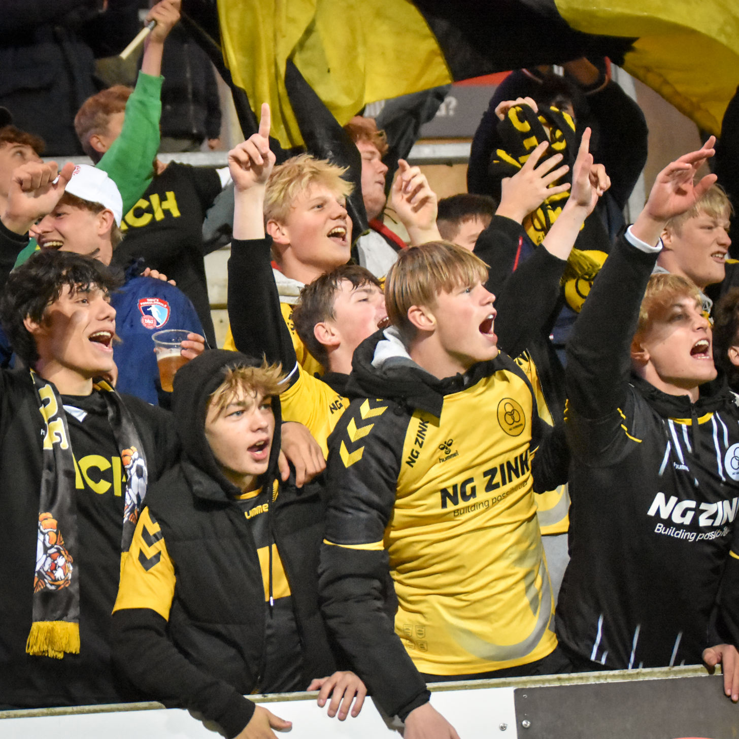 NG Zink fankontrakter